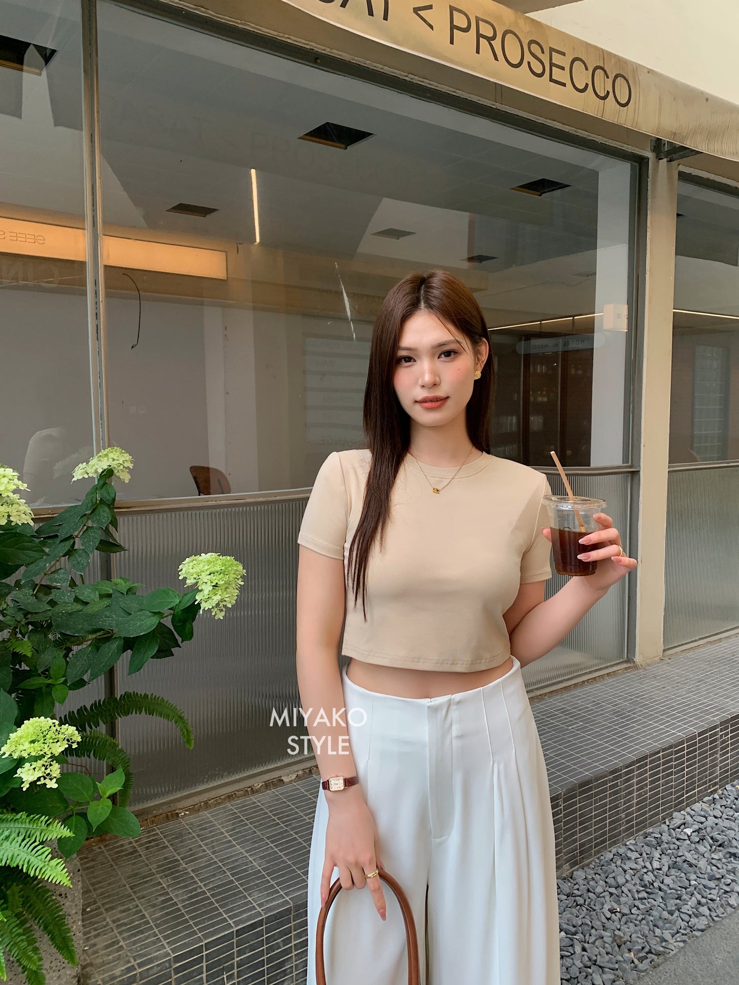 Anna Short Sleeve Crop Top in Beige