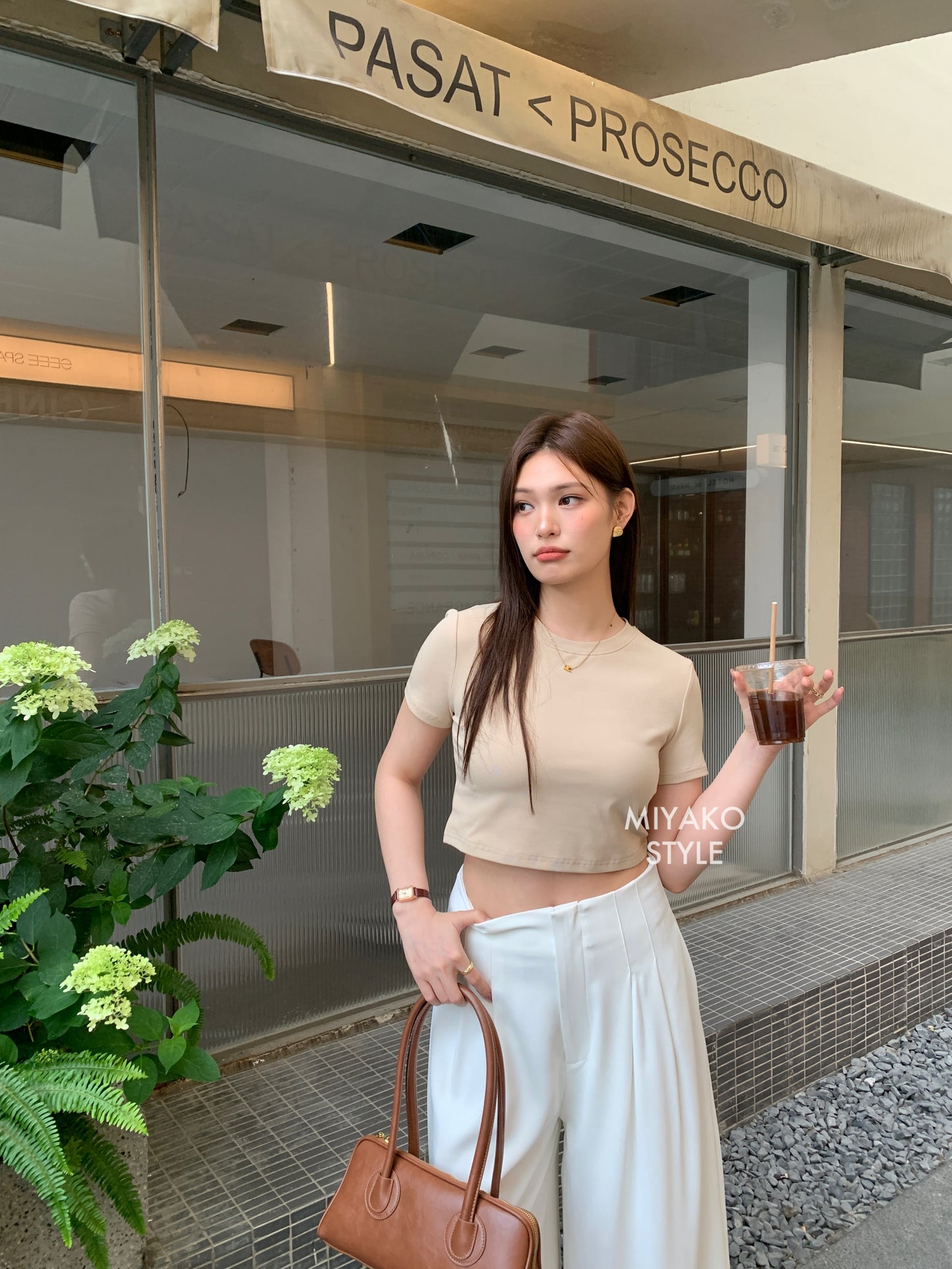Anna Short Sleeve Crop Top in Beige