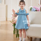 Denim Premium Detachable Sleeve Girl Dress