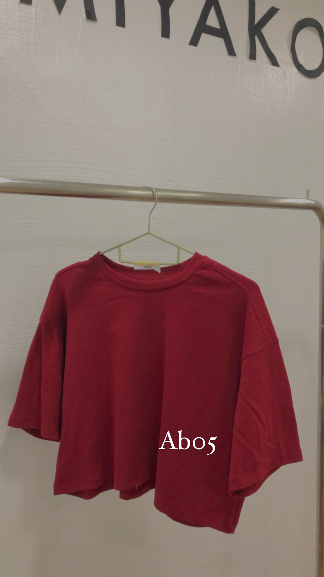 AB05 Short Sleeve Crop Top in Maroon